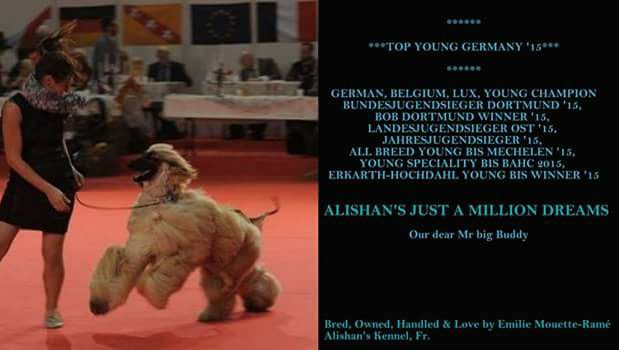 Alishan's - #Aaron# TOP 1 Jeune Afghan 2015 en Allemagne !