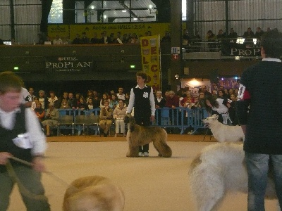 Alishan's - Junior Handling Summer et Simon sur le podium!!!Nantes 09