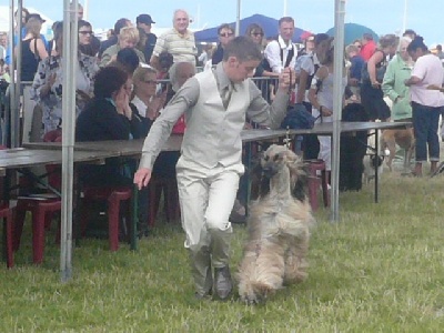 Alishan's - Junior Handling Dieppe Simon&Summer