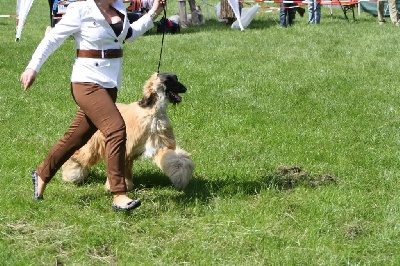 Alishan's - Wandhond Festival 2011 luxembourg